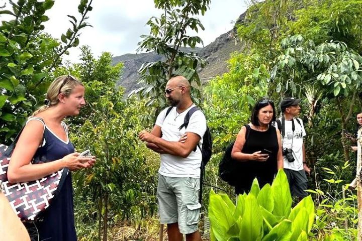 Vanilla farm tour in Tenerife