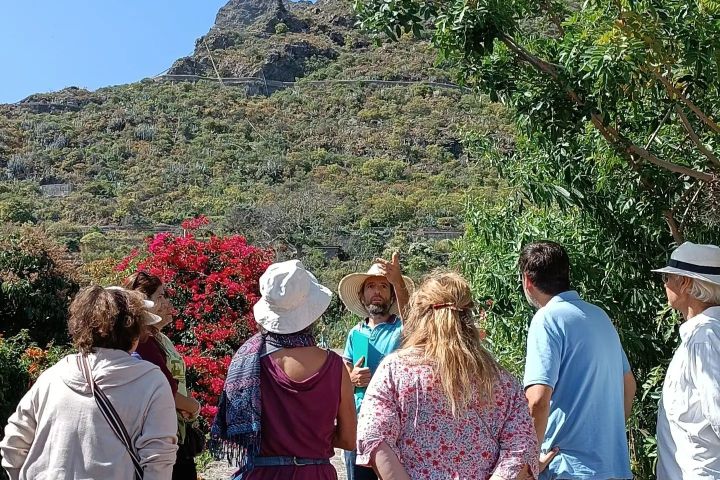 Vanilla farm tour in Tenerife