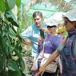 Vanilla farm tour in Tenerife