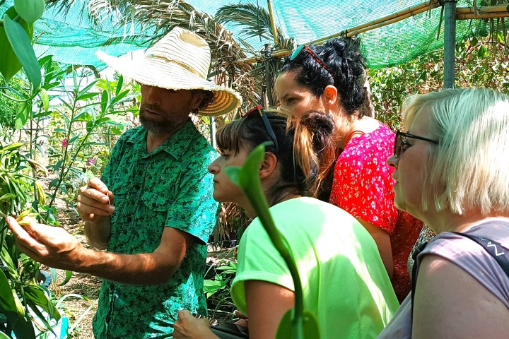 Vanilla farm tour in Tenerife