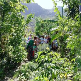 Vanilla farm tour in Tenerife