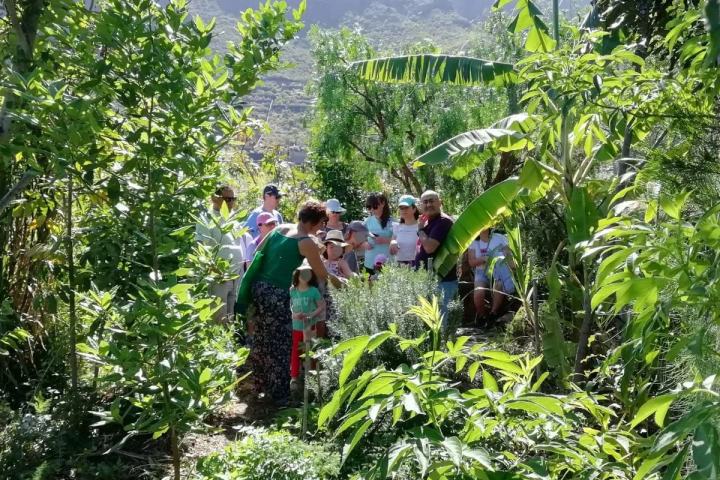 Vanilla farm tour in Tenerife