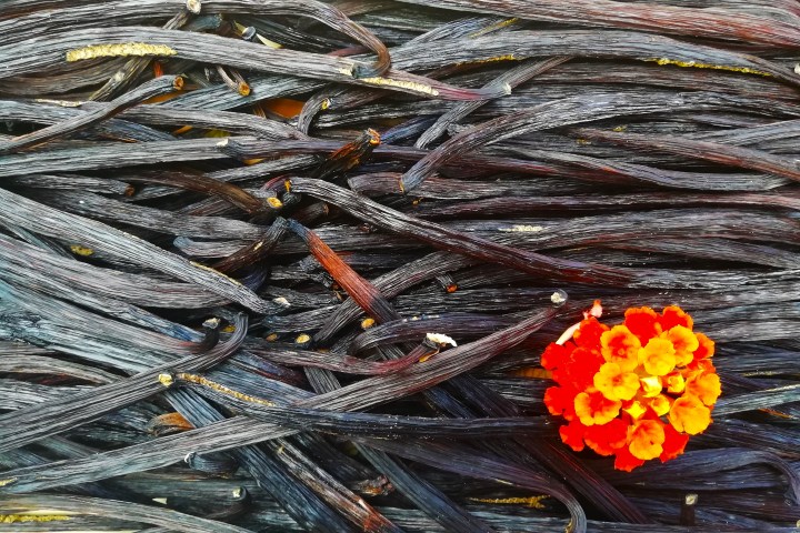 Vanilla farm tour in Tenerife