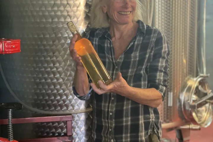 Granada wine and lunch tour