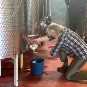 Granada wine and lunch tour