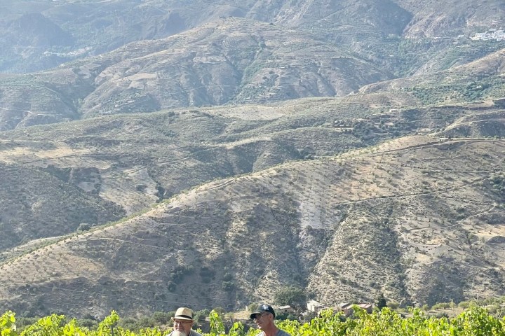 Granada wine and lunch tour