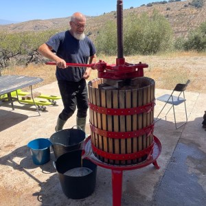Granada wine and lunch tour