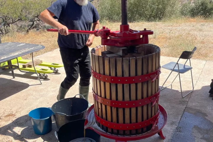 Granada wine and lunch tour