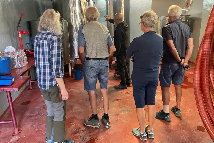 Granada wine and lunch tour