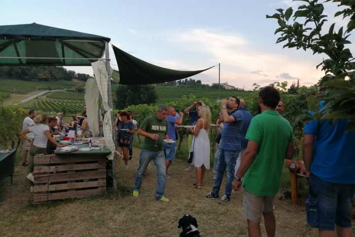 Merenda Sinoira Picnic & Wine Tasting