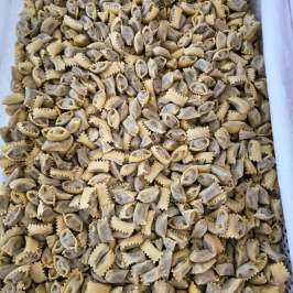 Merenda Sinoira Picnic & Wine Tasting