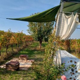 Merenda Sinoira Picnic & Wine Tasting