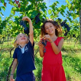 Merenda Sinoira Picnic & Wine Tasting