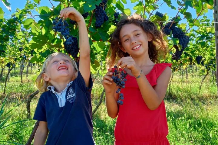 Merenda Sinoira Picnic & Wine Tasting