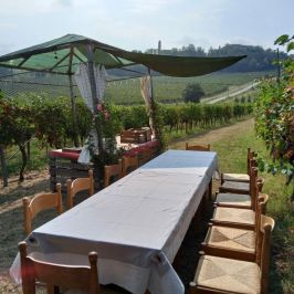 Merenda Sinoira Picnic & Wine Tasting