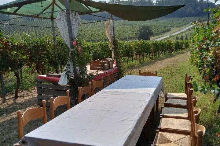 Merenda Sinoira Picnic & Wine Tasting