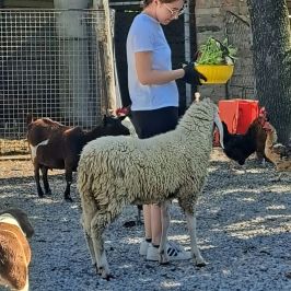 Monforte d'Alba farm tour