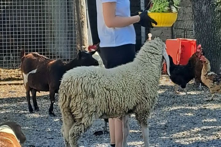 Monforte d'Alba farm tour