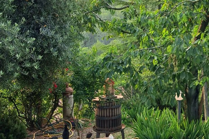 Monforte d'Alba farm tour