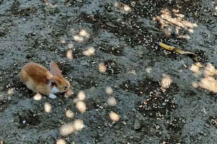 Monforte d'Alba farm tour
