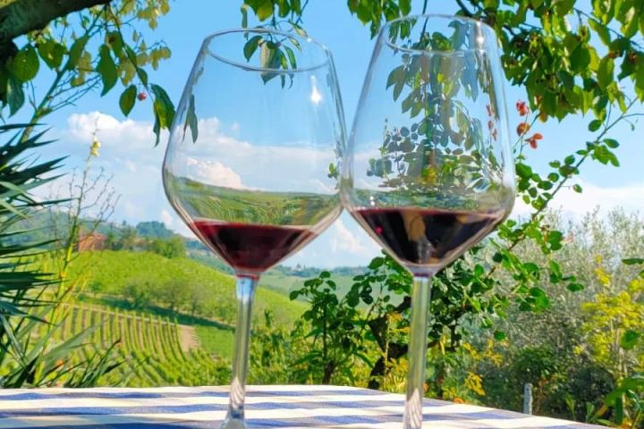 Monforte d'Alba farm tour