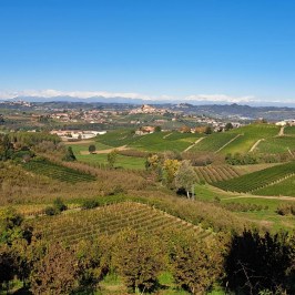 Monforte d'Alba farm tour