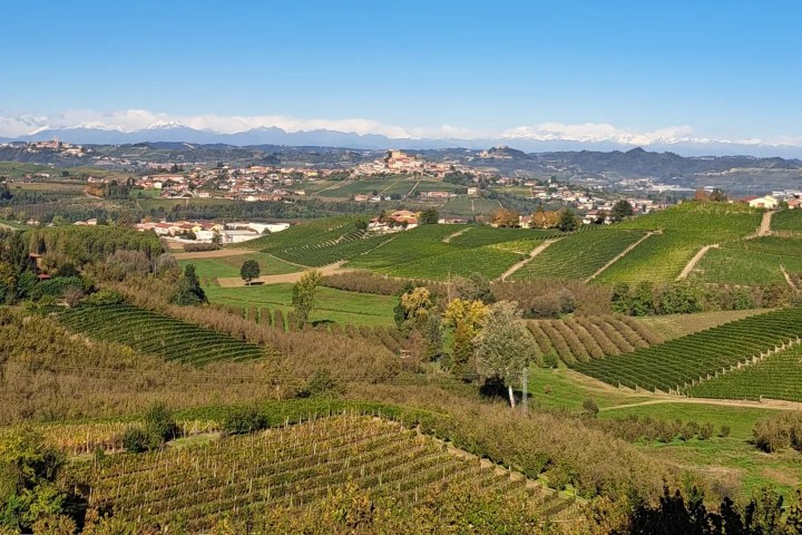 Monforte d'Alba farm tour