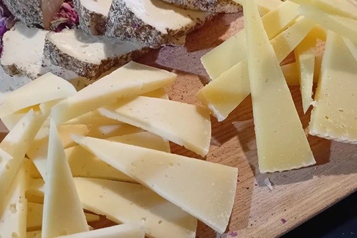 Organic Raw Milk Cheese Tasting