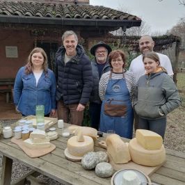 Organic Raw Milk Cheese Tasting