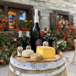 Organic Raw Milk Cheese Tasting