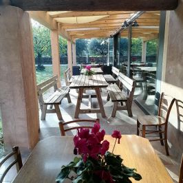 Organic Raw Milk Cheese Tasting