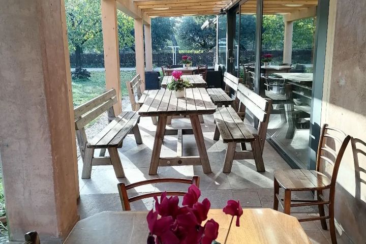 Organic Raw Milk Cheese Tasting