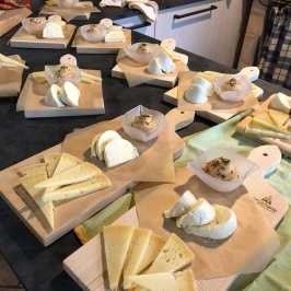 Organic Raw Milk Cheese Tasting