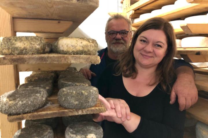 Organic Raw Milk Cheese Tasting