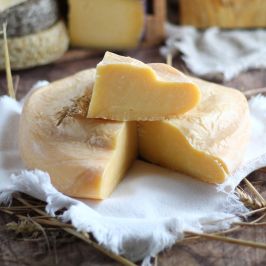 Organic Raw Milk Cheese Tasting