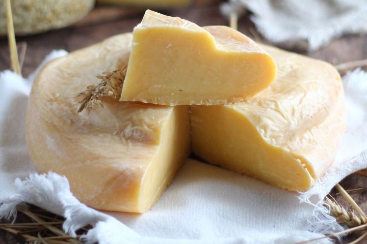 Organic Raw Milk Cheese Tasting