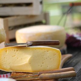Organic Raw Milk Cheese Tasting