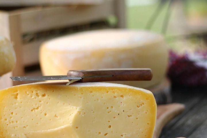 Organic Raw Milk Cheese Tasting