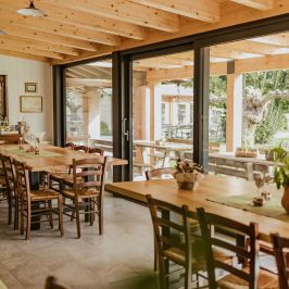 Organic Raw Milk Cheese Tasting