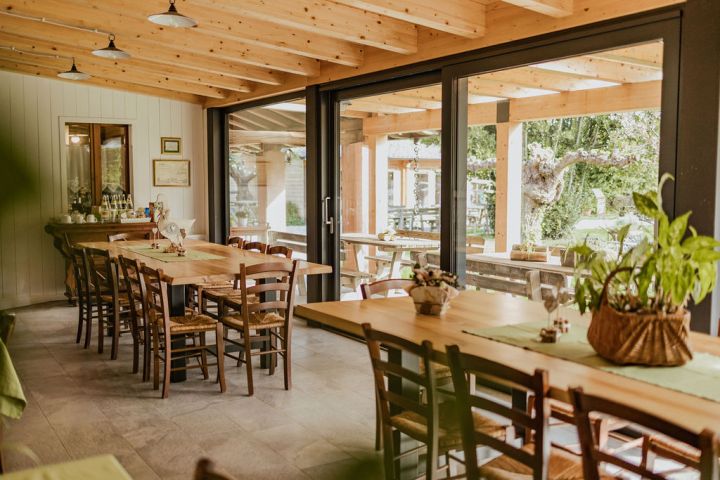 Organic Raw Milk Cheese Tasting