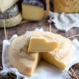Organic Raw Milk Cheese Tasting