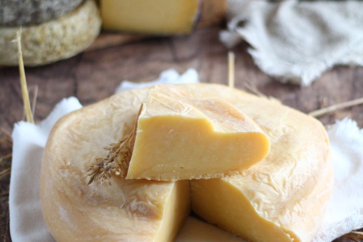 Organic Raw Milk Cheese Tasting