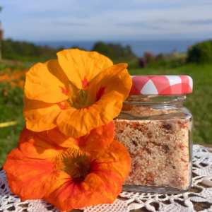 Self-Sufficient Farm Experience