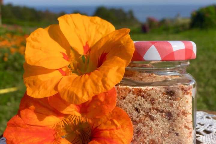 Self-Sufficient Farm Experience