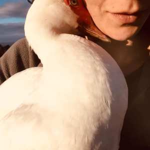 Self-Sufficient Farm Experience