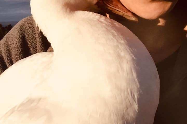 Self-Sufficient Farm Experience