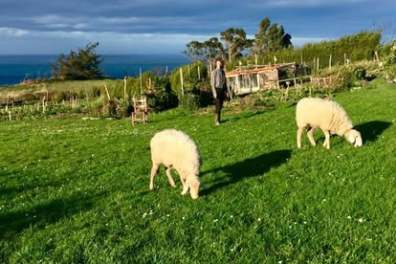 Self-Sufficient Farm Experience