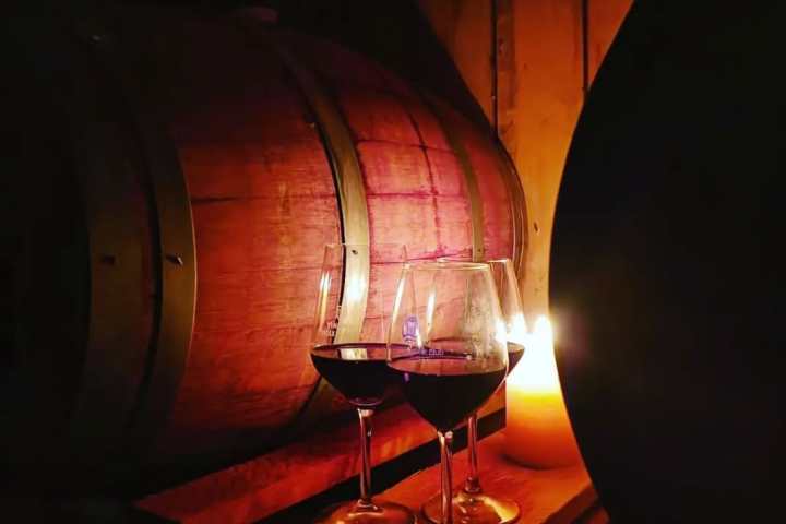 Tolentino Natural Wine Tasting