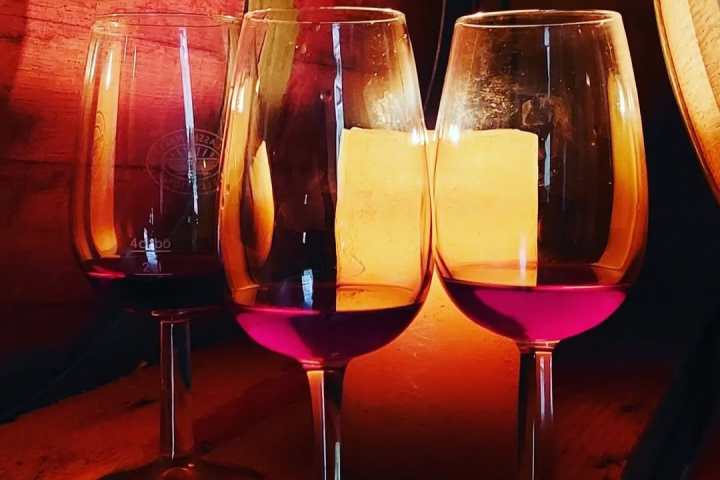 Tolentino Natural Wine Tasting