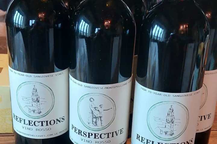 Tolentino Natural Wine Tasting